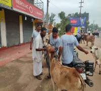 Amrut Foundations Various Activities