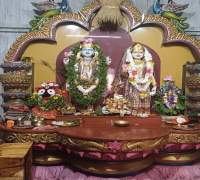 Amrut Foundation