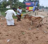 Amrut Foundations Various Activities