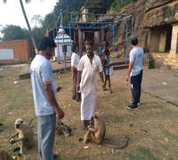 Amrut Foundation