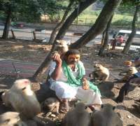 Amrut Foundation