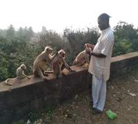 Amrut Foundation