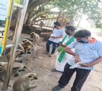 Amrut Foundation