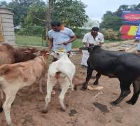 Amrut Foundations Various Activities