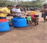 Amrut Foundations Various Activities