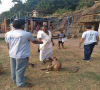 Amrut Foundation