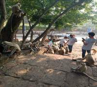 Amrut Foundation
